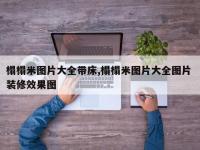 榻榻米图片大全带床,榻榻米图片大全图片 装修效果图