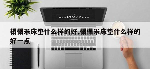 榻榻米床垫什么样的好,榻榻米床垫什么样的好一点