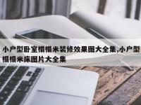小户型卧室榻榻米装修效果图大全集,小户型榻榻米床图片大全集