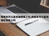 榻榻米可以直接铺地暖上吗,榻榻米可以直接铺在地板上吗