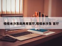榻榻米沙发床两用客厅,榻榻米沙发 客厅