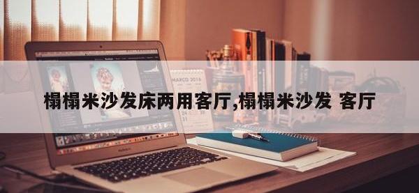 榻榻米沙发床两用客厅,榻榻米沙发 客厅